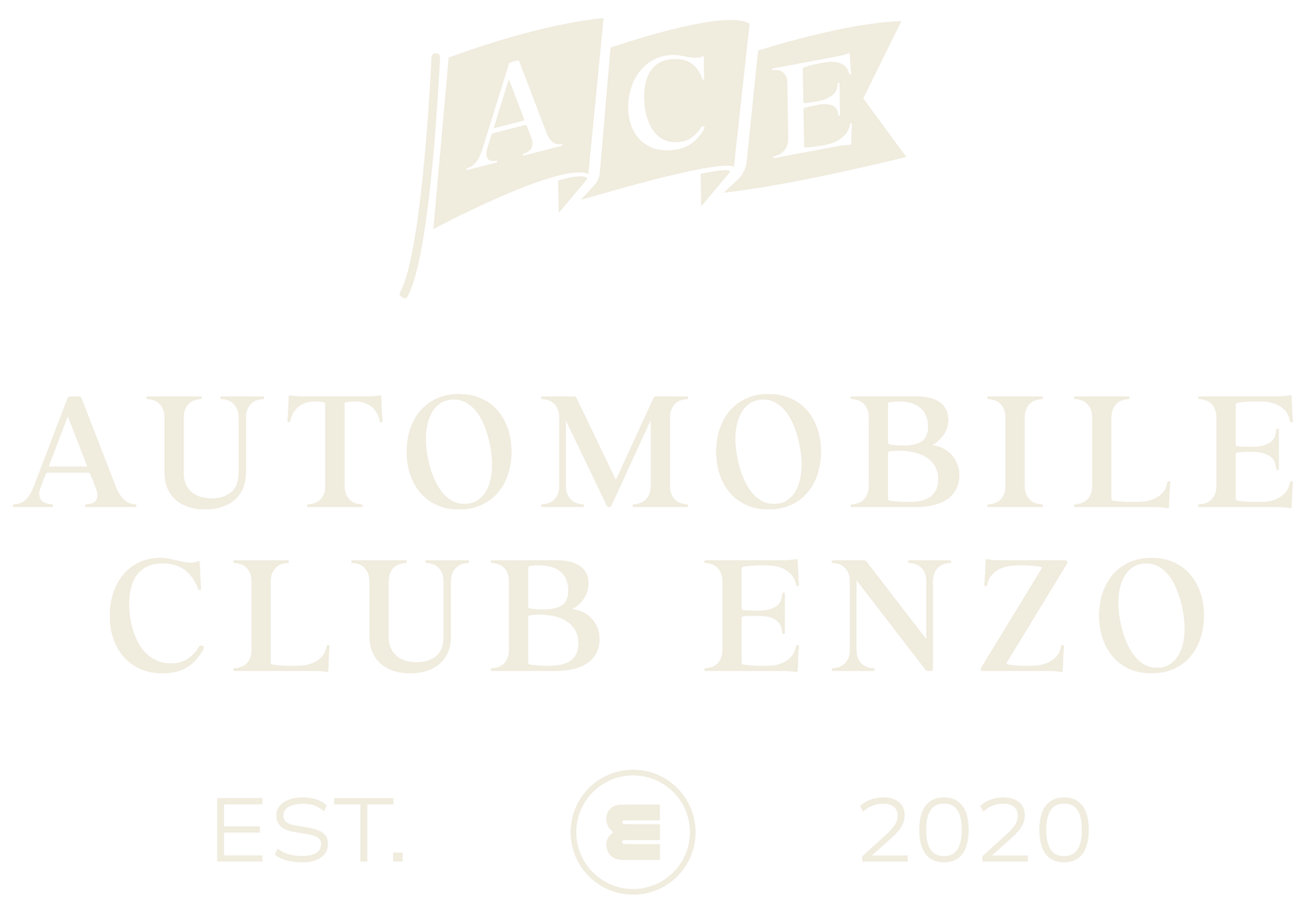 Enzo Motorsport